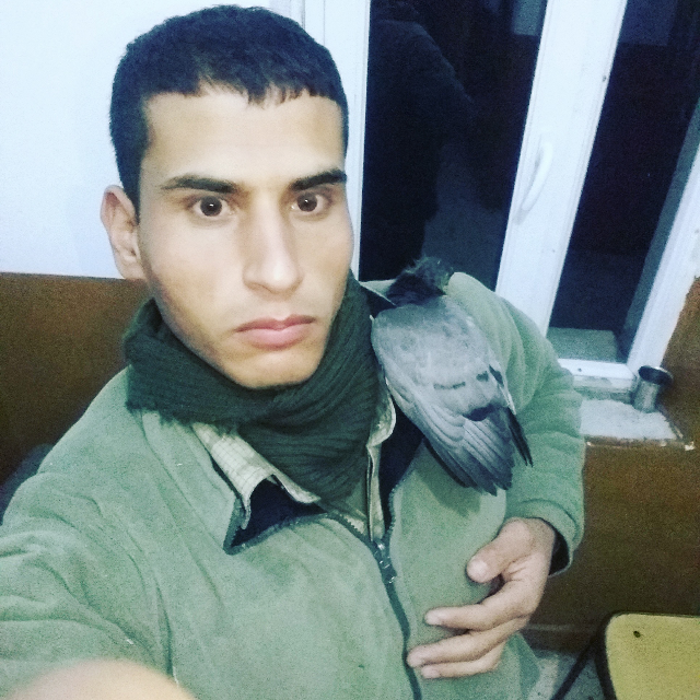 Aziz