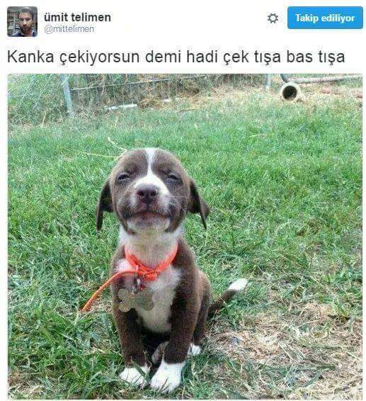 Ömür
