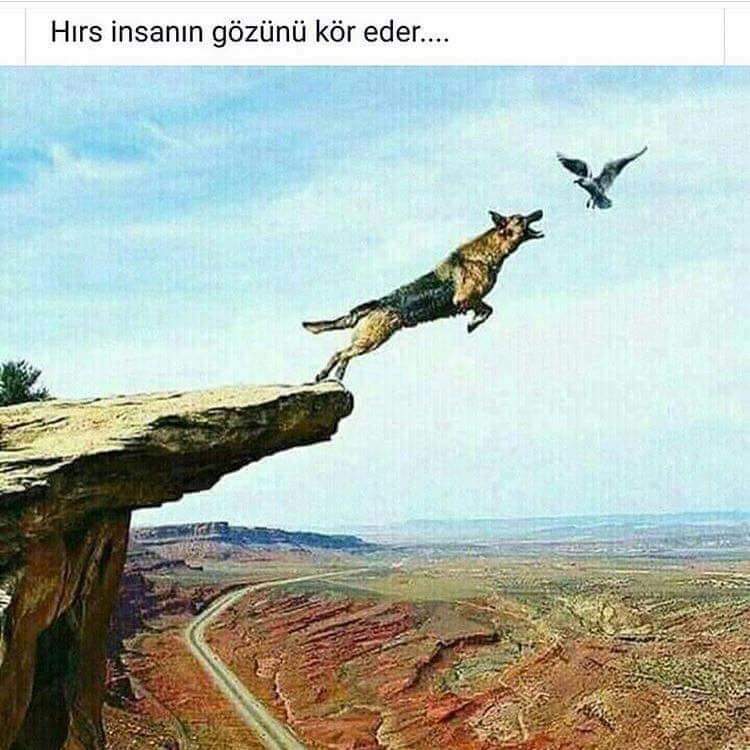 Okan