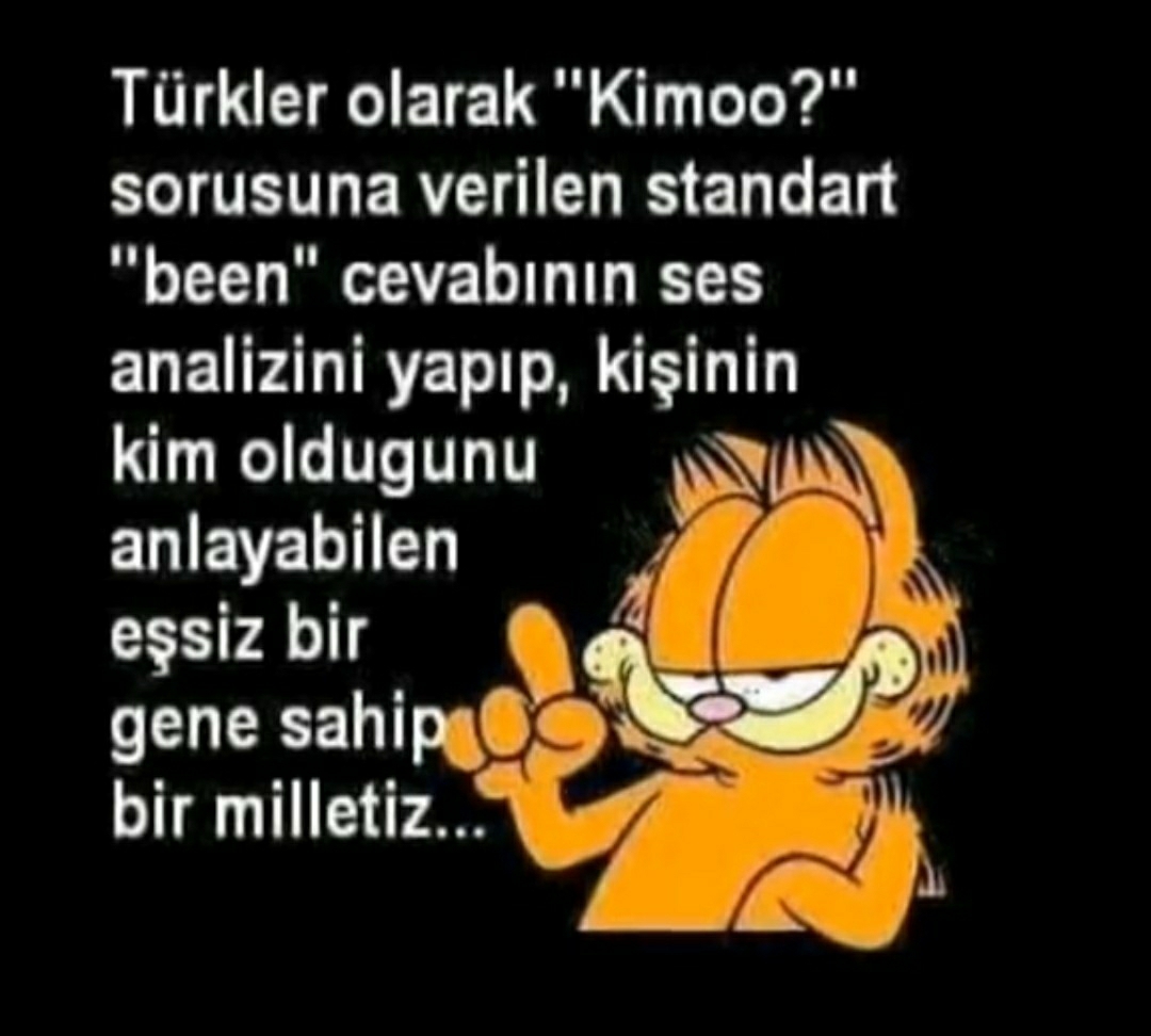 Aynur