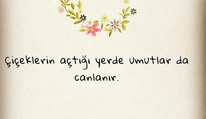 Gulay