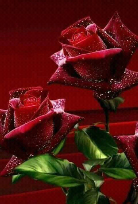 Muhammed
