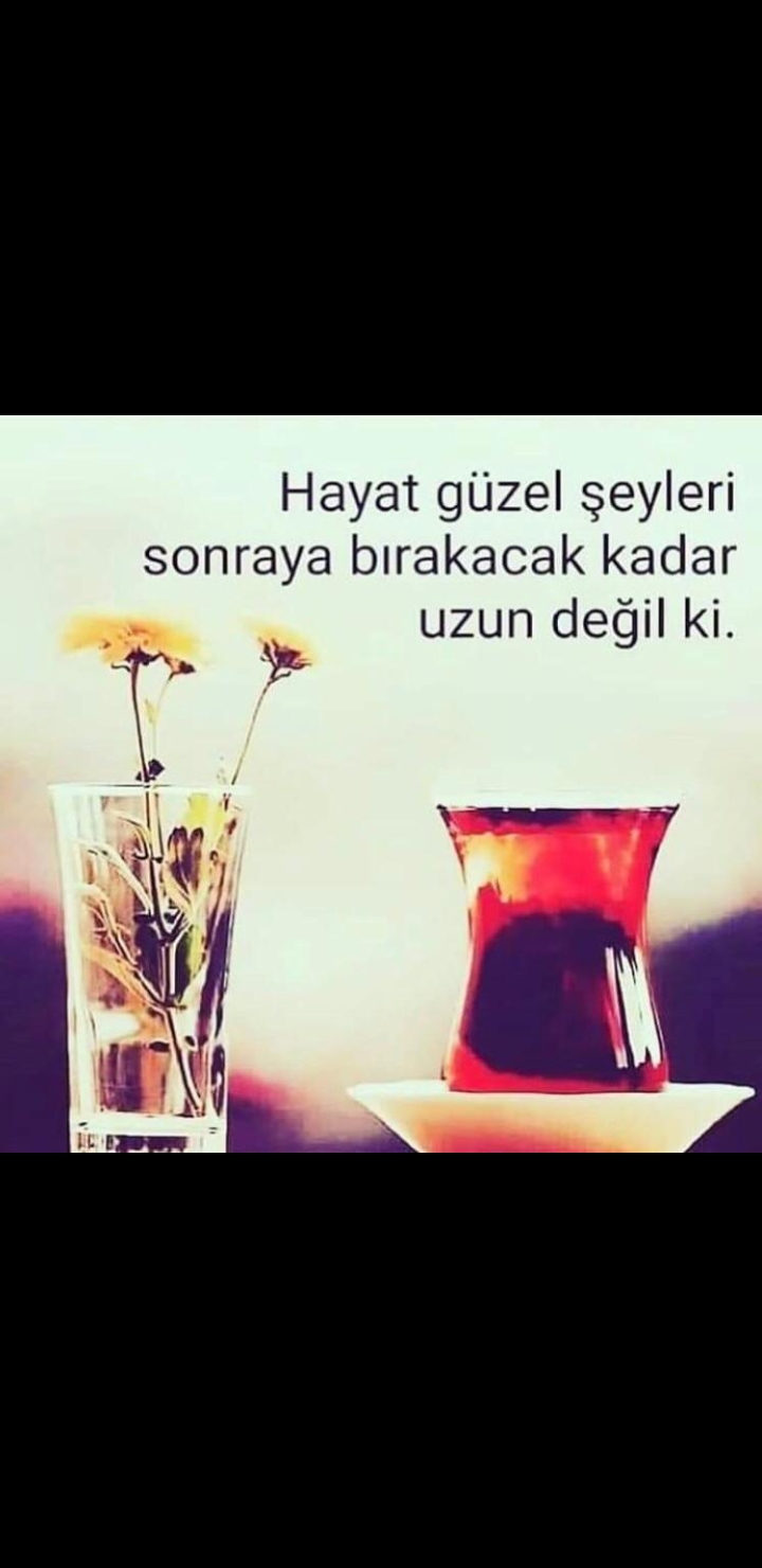 Gülcan