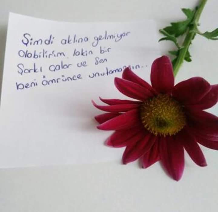 Sezer