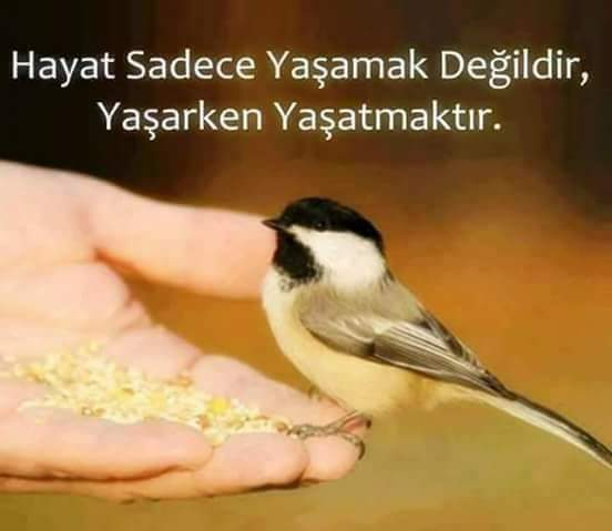 Kerem