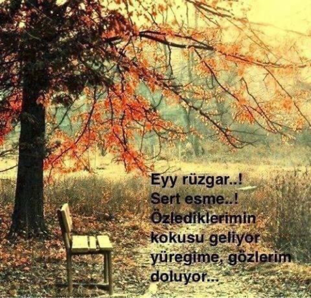 Evren