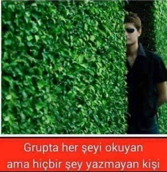 Serdar