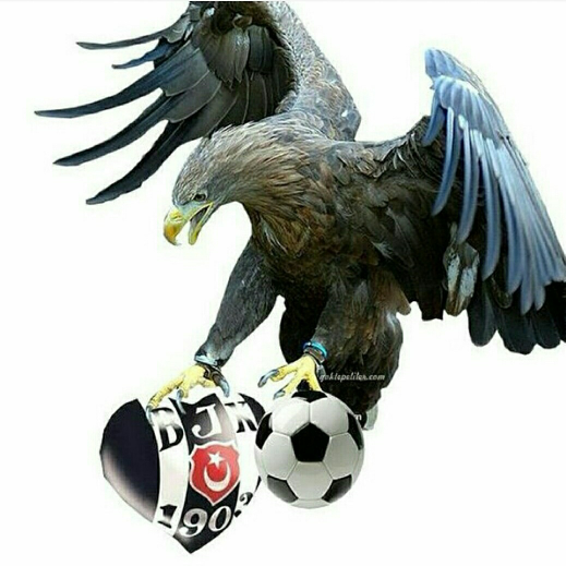 Mesut