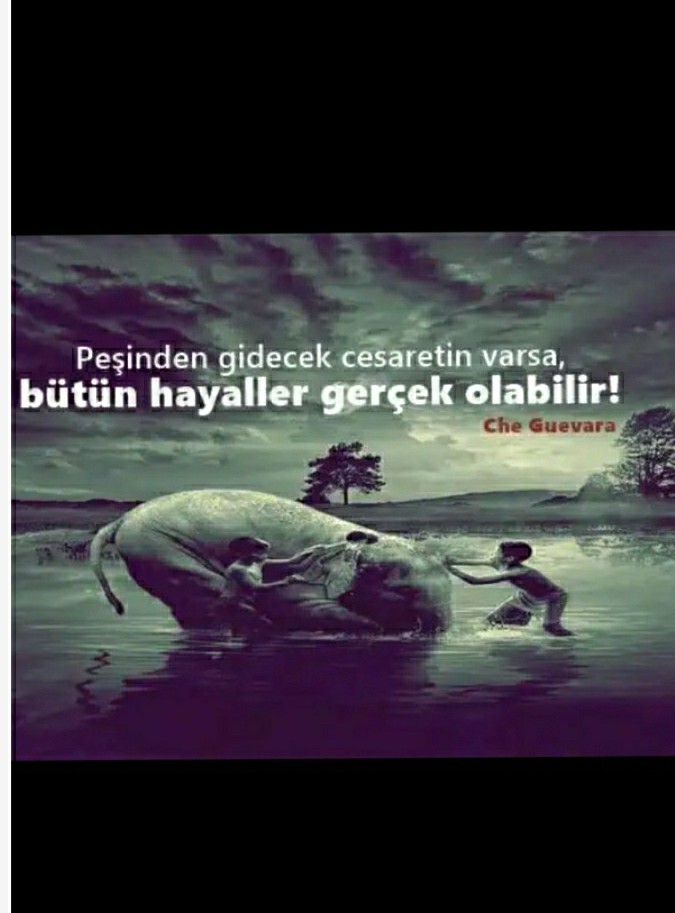 Umut