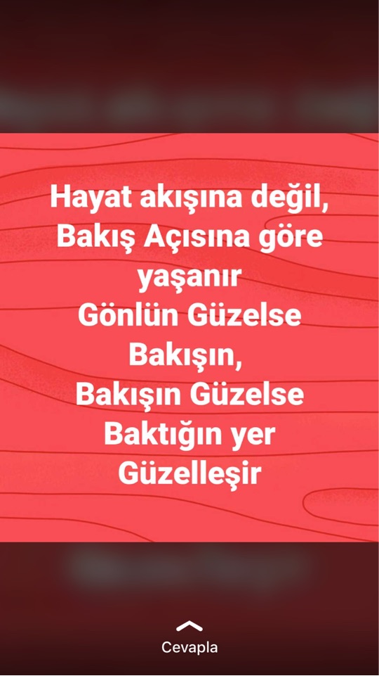 Selim