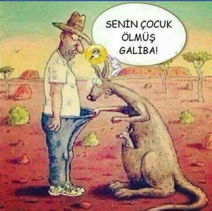 Soner