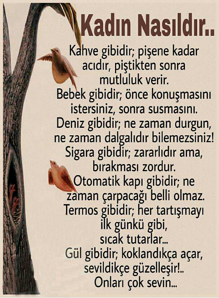 Ayşe