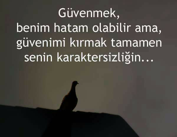 Gercegimmi