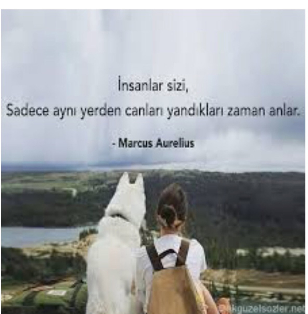 Dicle