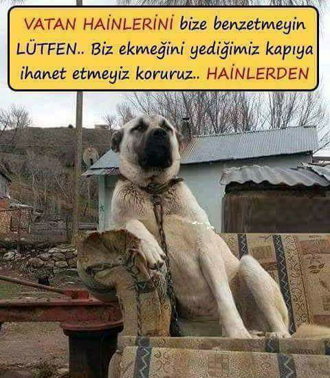 Gülısık