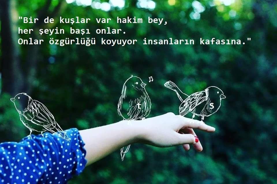 Tarık