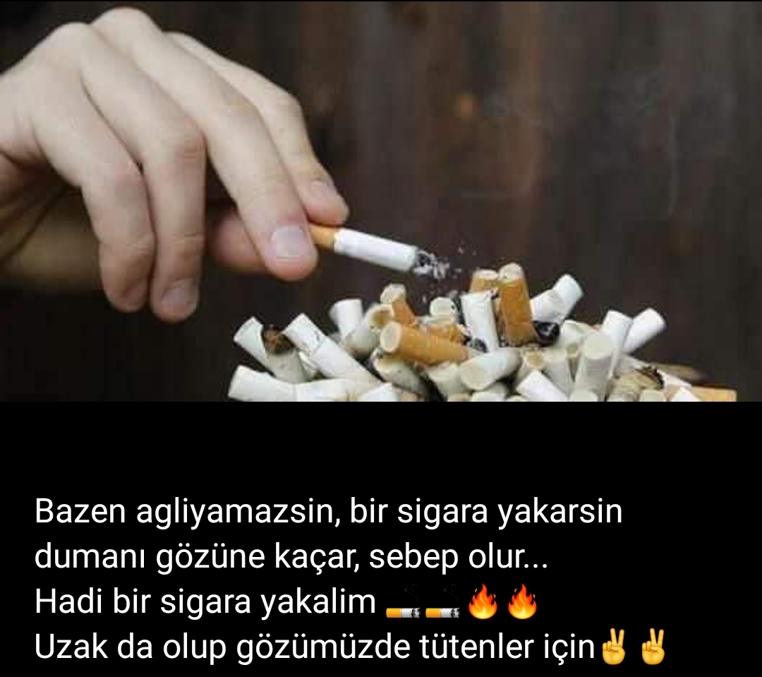 Davut