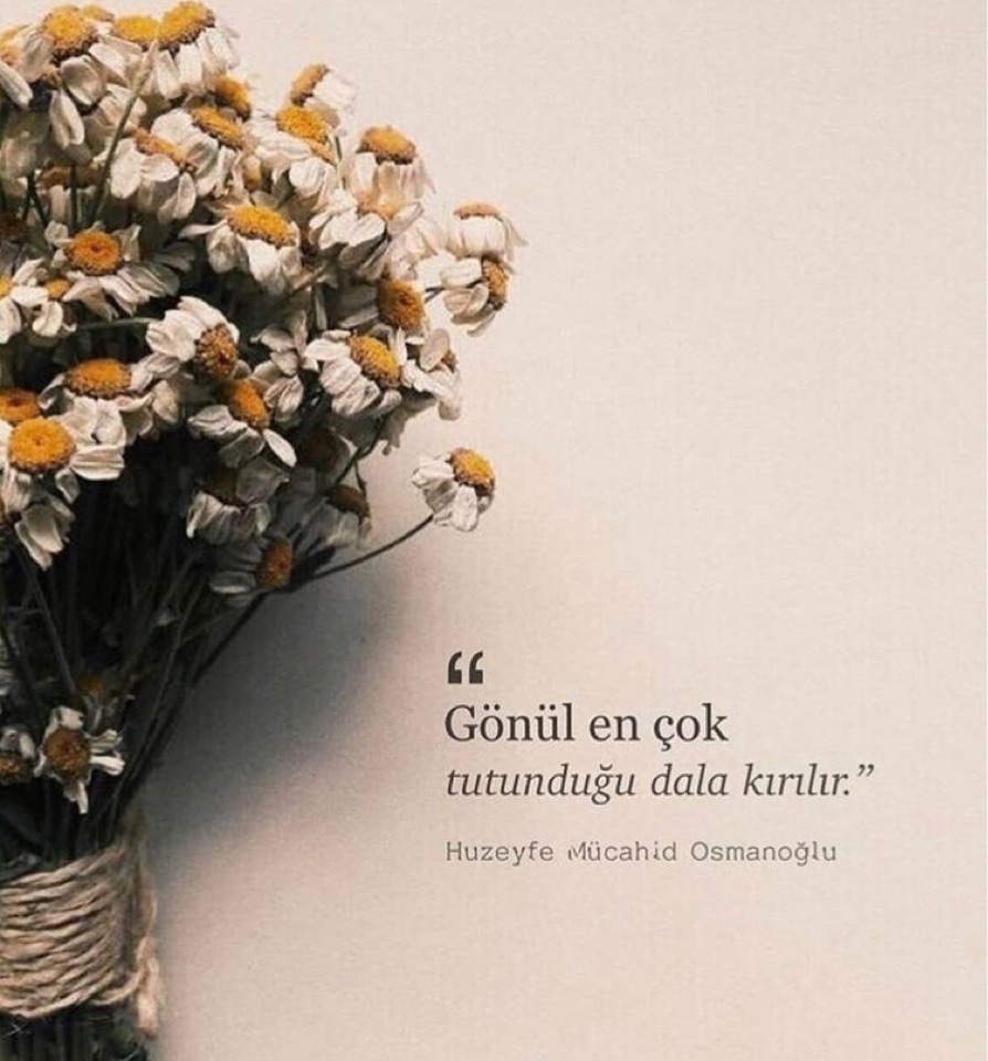 Veysel