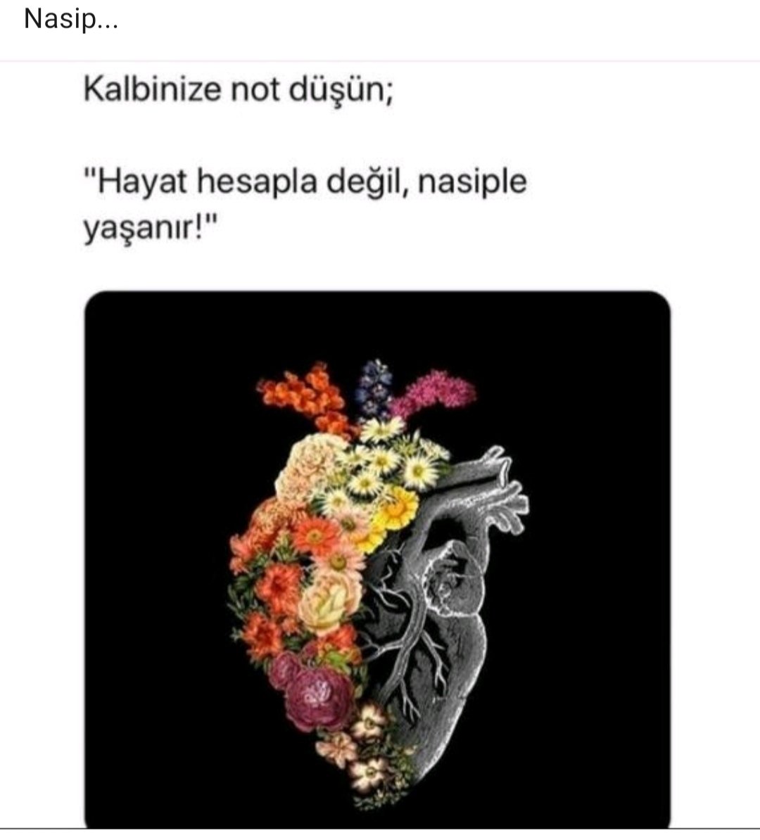 Gülhan
