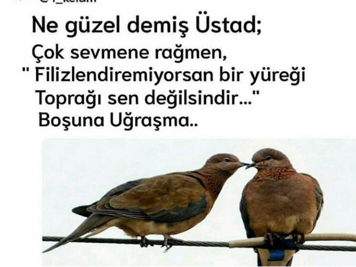 Hüseyin