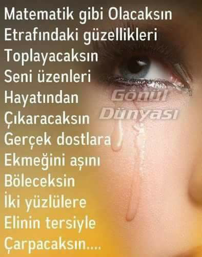 Alp
