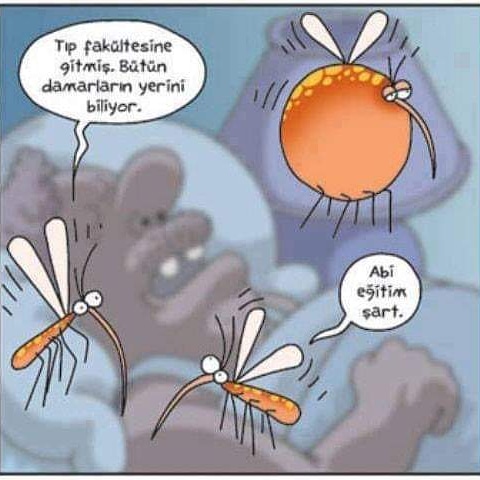 Yılmaz