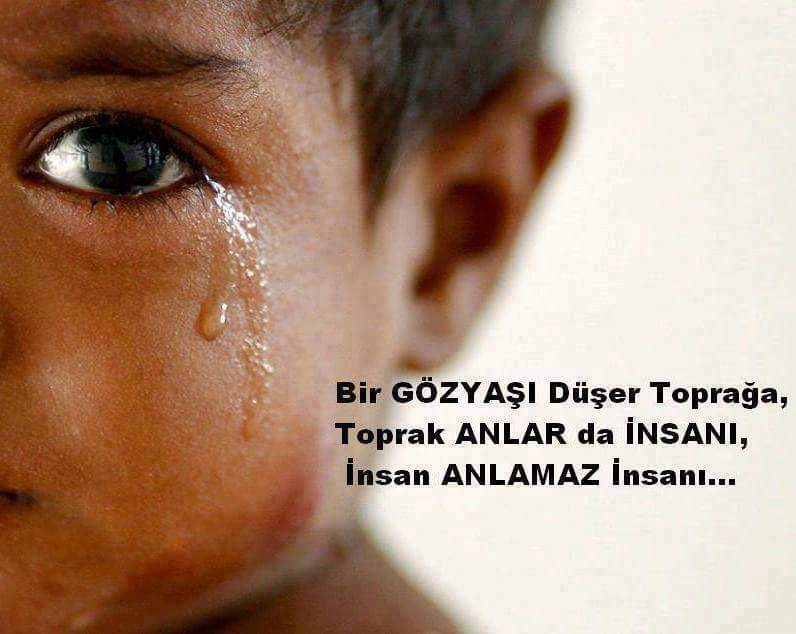 Davut
