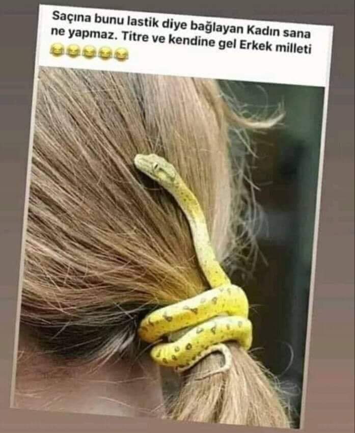 Serdar