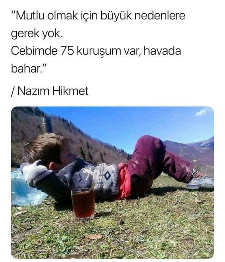 Serdar