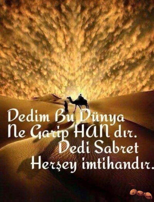 Bozan