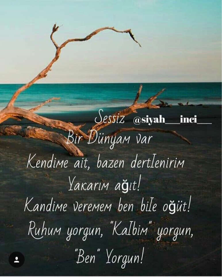 Buse