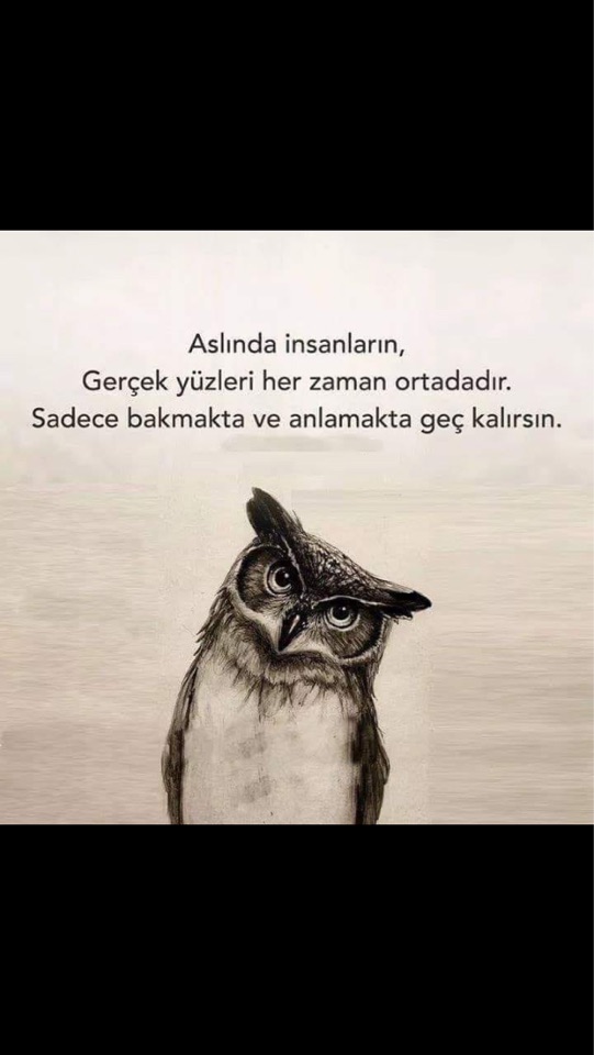 Sedat