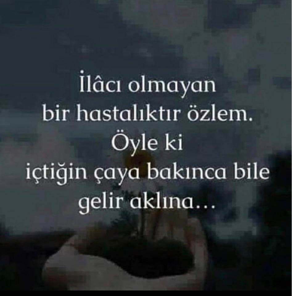 Aysun
