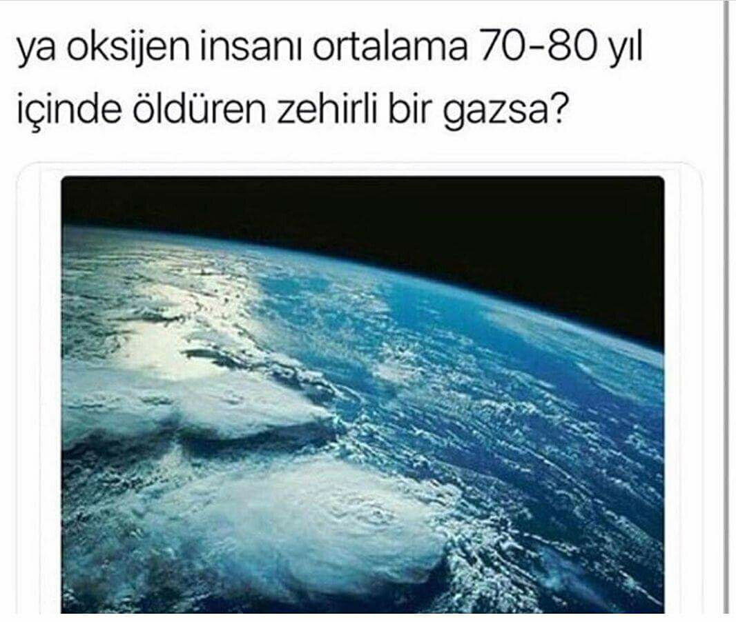 M Raşit