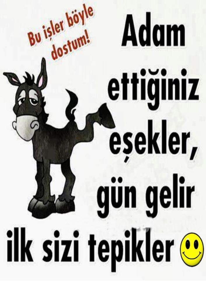 Eyup