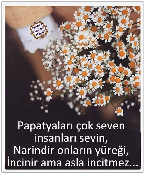 Saadet