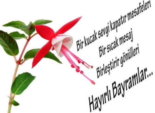 Maral
