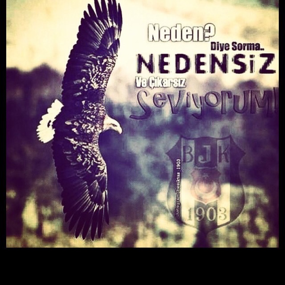 Cem