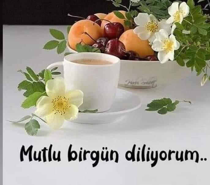 Cıhan