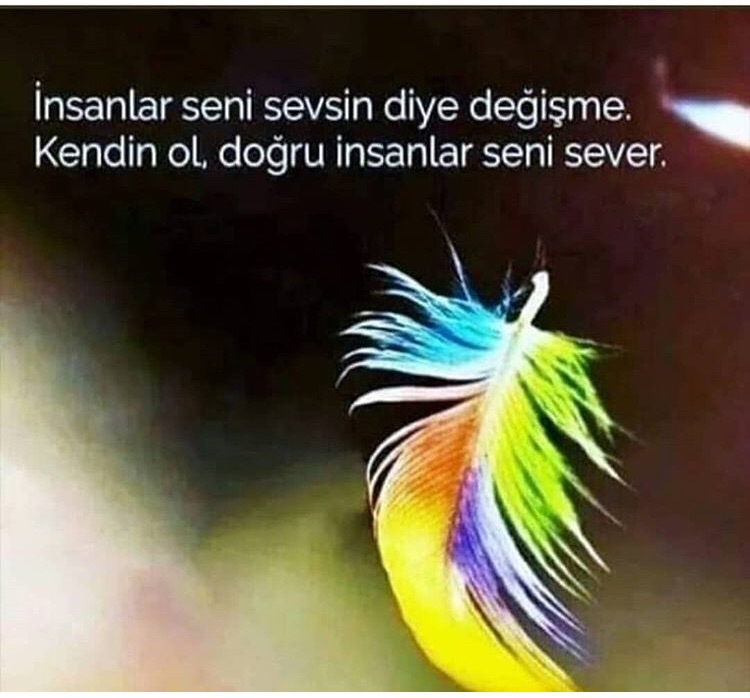 Poyraz
