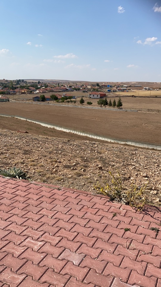 El