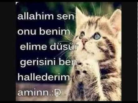Elçin