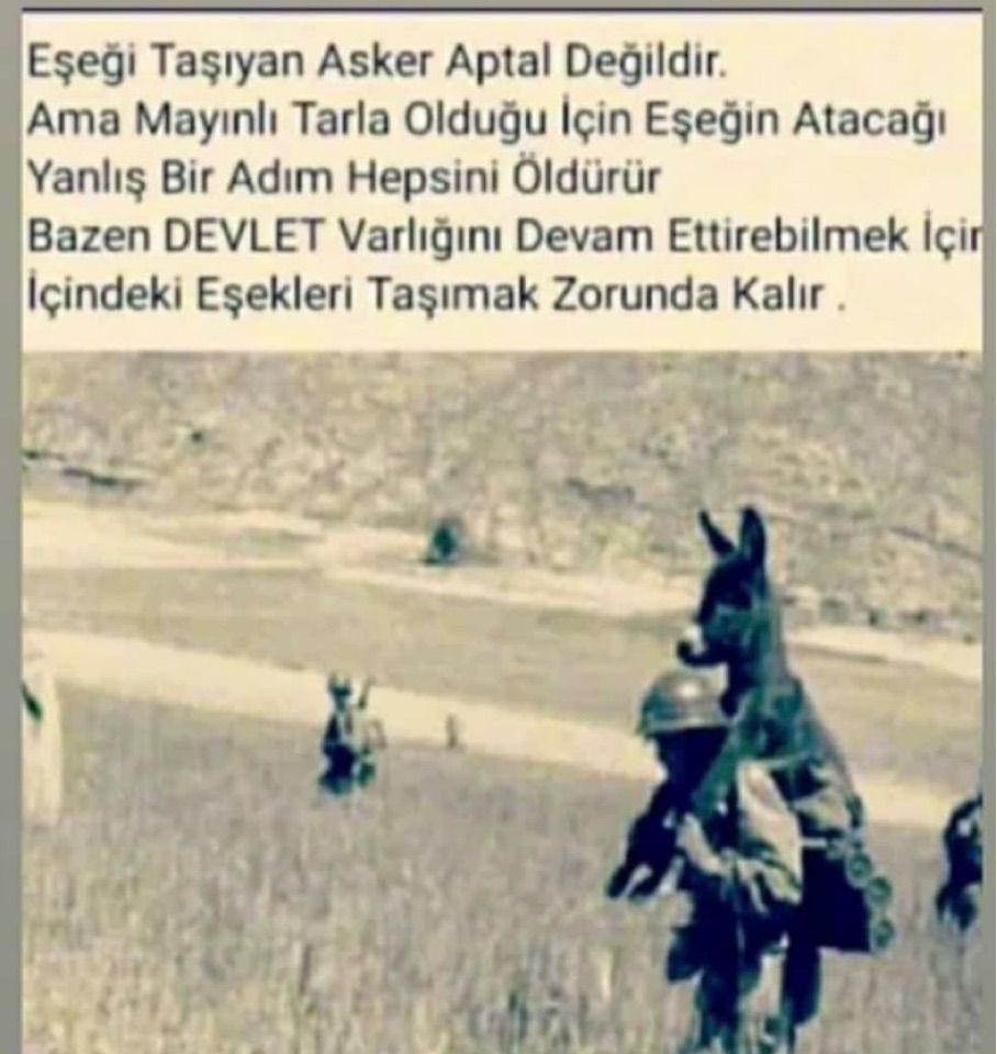 Harun