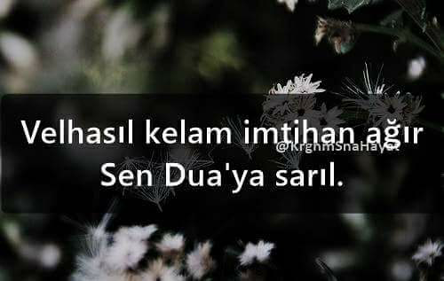 Can