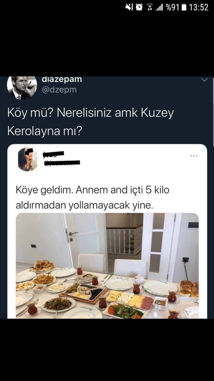 Vedat