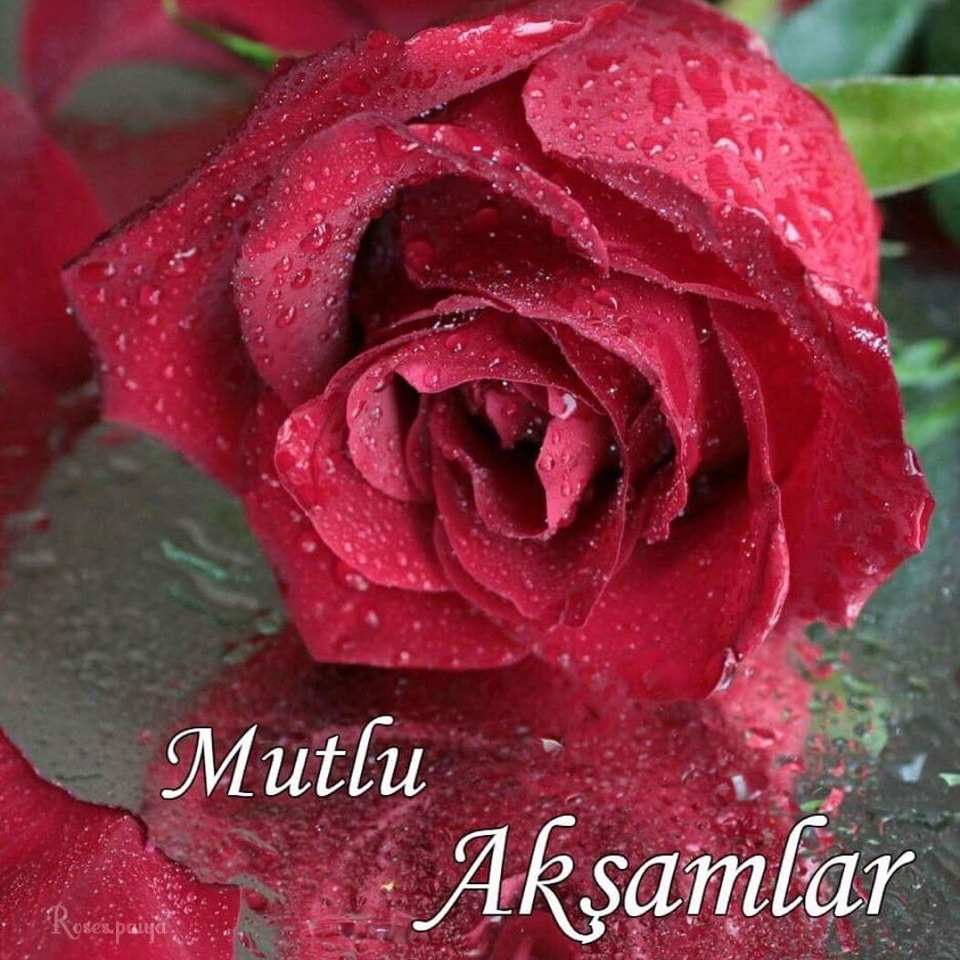 Recep