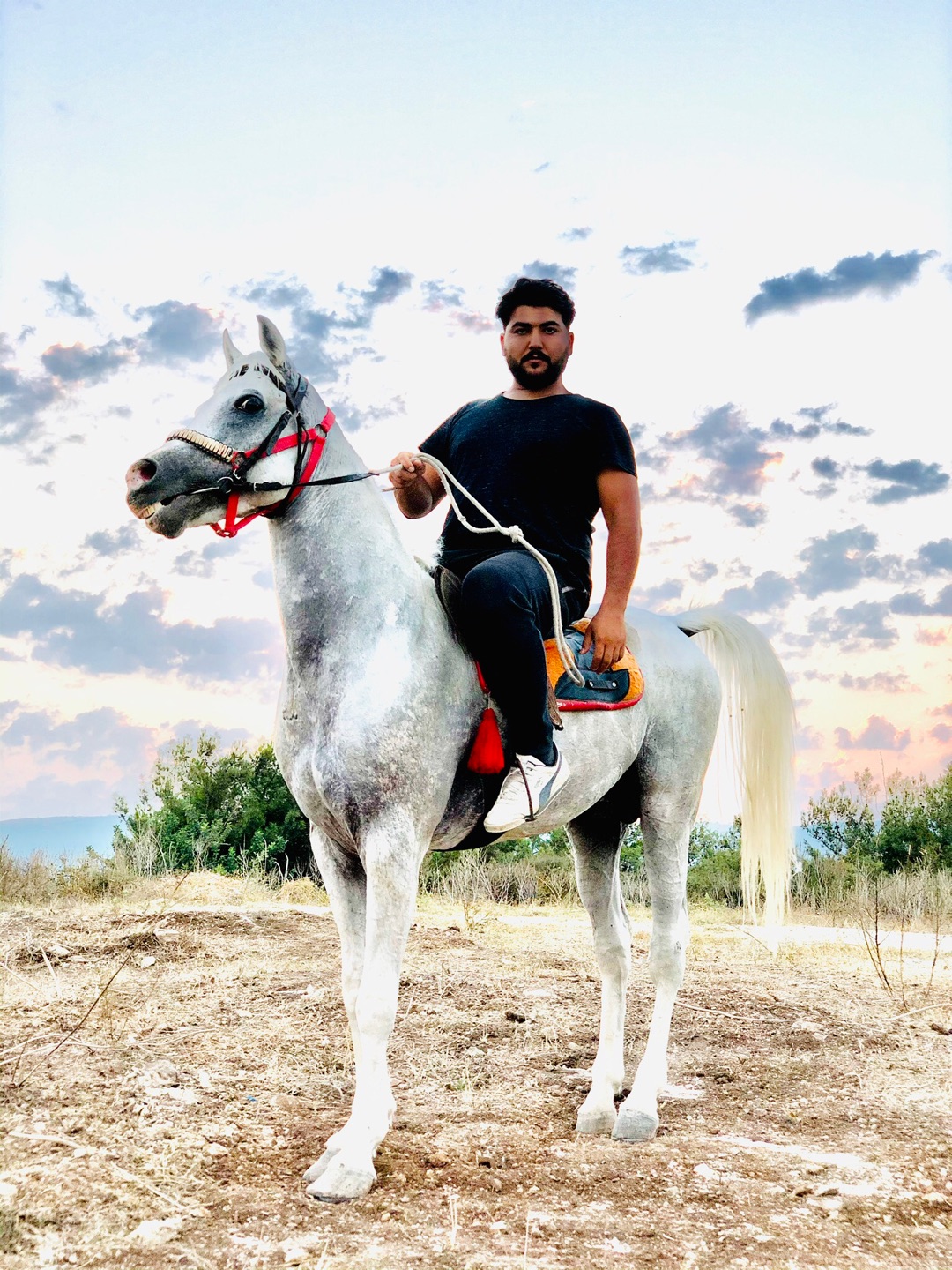 Orhan