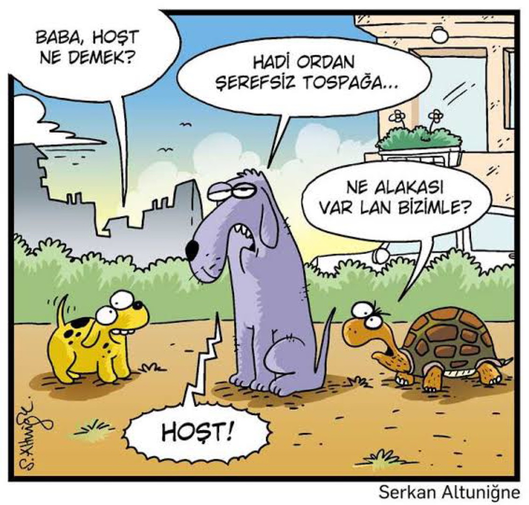 Cansın