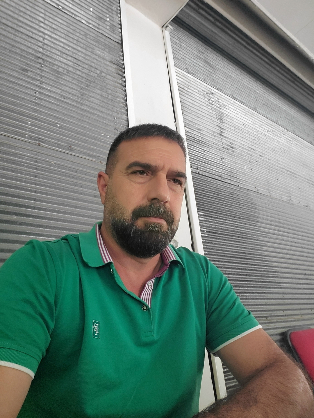Şahin