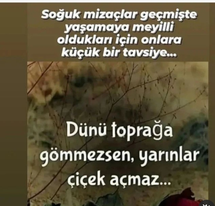 Hayal
